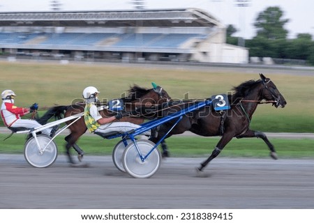 Racing horses trots and rider on a track of stadium. Competitions for trotting horse racing. Horses compete in harness racing. Horse runing at the track with rider.
 Royalty-Free Stock Photo #2318389415