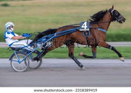 Racing horses trots and rider on a track of stadium. Competitions for trotting horse racing. Horses compete in harness racing. Horse runing at the track with rider.
 Royalty-Free Stock Photo #2318389419