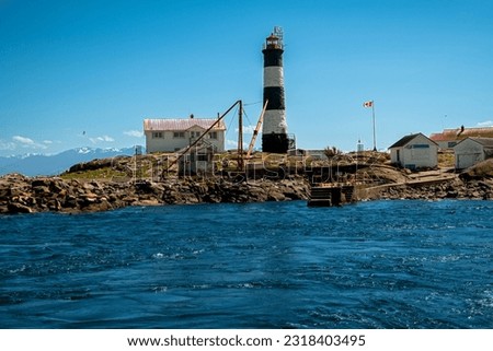 A picture of Race Rock Lighthouse taken on a spring day. While Seal's are sunbathing and seagulls fly in the background.