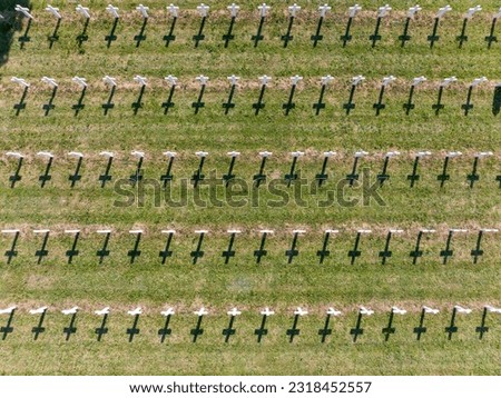 White crosses Pattern from Above. Tombs in a military cemetery in Strasbourg, France. Aerial Drone Shot