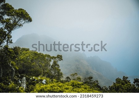 Fog and clouds over the mountains of Kokee State Park in Kauai, Hawaii