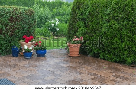 Terraced planters with colorful geraniums in the summer rain, heavy rain can be seen in the background, selective focus, copy space. Royalty-Free Stock Photo #2318466547
