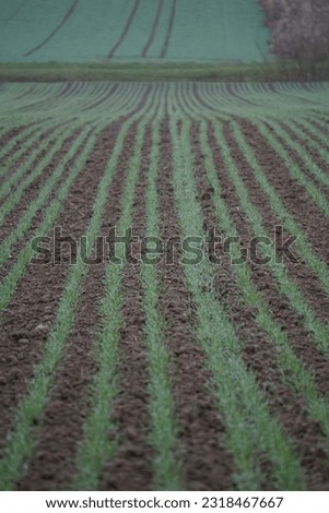 Picture of an open agriculture field in Stuttgart