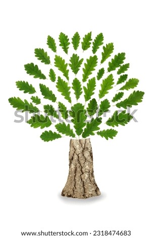 Oak tree leaf abstract go green eco friendly logo symbol with green leaves and trunk. Ecological design element for environmentally friendly signs, brands and  logos. On white background.
