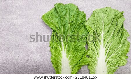 fresh cabbage on gray background