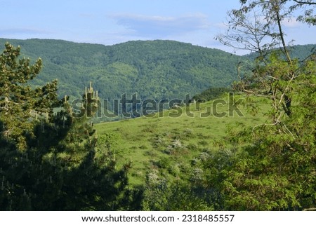 Landscape view of the green forest and blue sky in the mountains