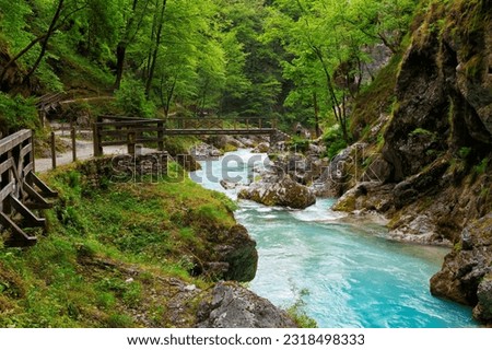 Beautiful landscape of Tolmin Gorges. Majestic scenery with clean mountain river in the deep gorges of Tolmin, Slovenia, Europe Royalty-Free Stock Photo #2318498333