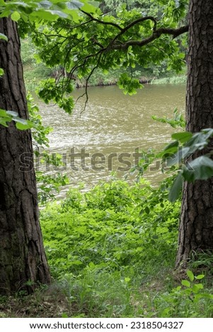 photo view of the water in the river between the green trees