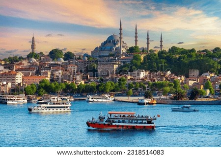 Touristic sightseeing ships in istanbul city, Turkey. Royalty-Free Stock Photo #2318514083