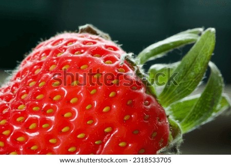 macro picture of red strawberry. closeup picture of strawberry. Fresh summer fruit picture. 