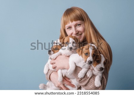 girl holding a lot of jack russell terrier puppies on a blue background