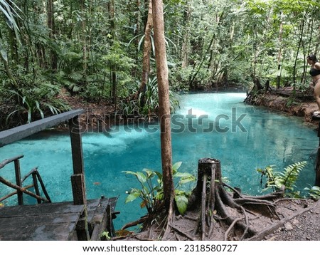 Kali Biru Raja Ampat Papua Indonesia with clean blue water and very cold Royalty-Free Stock Photo #2318580727