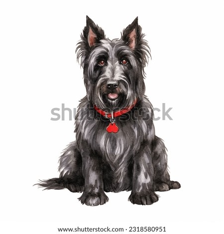 SCOTTISH TERRIER watercolor portrait painting illustrated dog puppy isolated on transparent white background
