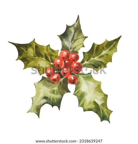 Watercolor illustration holly. Hand painted holly branch with red berry isolated on white background. Christmas botanical clip art for design, decor or print.