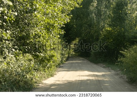 Beautiful rural road in the countryside, day landscape and tree on a summer day