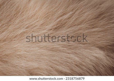 Beautiful abstract brown fur texture background