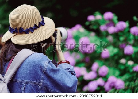 A woman taking a picture of a hydrangea