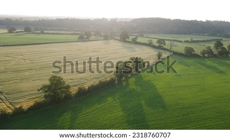 british farmland from above, fields, wildlife, summer day