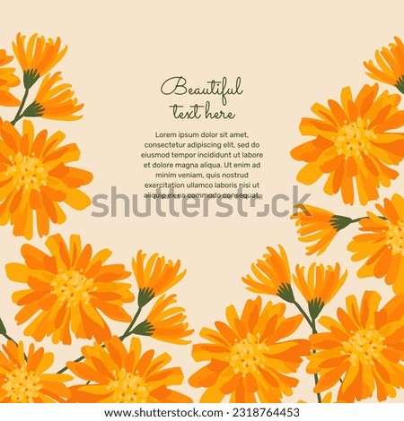 Background with blooming calendula and place for text. orange flowers on the background. herbal medicine. Royalty-Free Stock Photo #2318764453