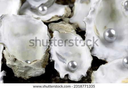 Glistening Beauty: Captivating Close-Up of a Pearl Nestled in an Oyster Shell, in 4K Resolution"