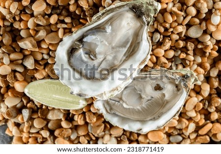 Ocean's Delicacy: Captivating Close-Up of Fresh Raw Oysters in Shell with Zesty Lemon, in 4K Resolution