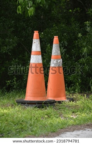 A pair of orange and white traffic cones on the side of the road, placed in the green grass.