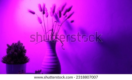 office decoration with purple lamp and flower vase interior and toys