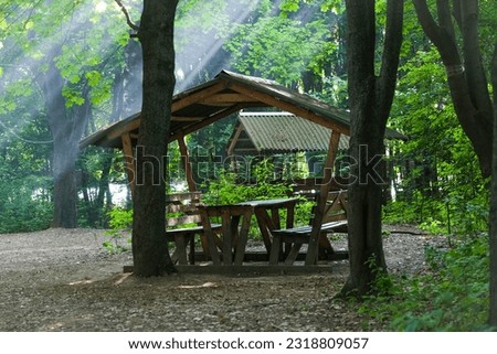 Gazebo in a green forest in the rays of the sun