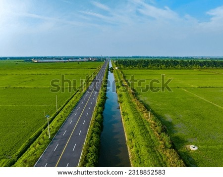 Overlook of green rice fields, spacious road