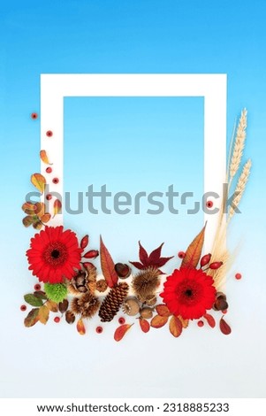 Vivid Autumn and Thanksgiving background frame with red leaves and flowers. Nature Fall composition with natural flora. White frame on gradient blue background. Flat lay.
