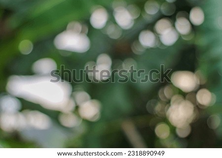 defocused abstract background of bokeh effect isolated on leaf and sky.