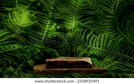 stones and plants for product presentation.brown stones on green fern branches background for podium background banner.medicine cosmetics natural products concept.
