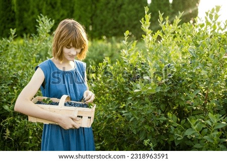 Cute young girl picking fresh berries on organic blueberry farm on warm and sunny summer day. Fresh healthy organic food. Family activities in summer. Royalty-Free Stock Photo #2318963591