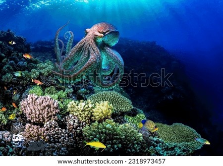 The magnificent octopus perfectly accepts the color of the purple coral reef demonstrating the skill of camouflage Royalty-Free Stock Photo #2318973457