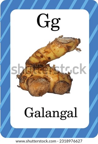 Galangal with frame for ABC Flash Cards. Letters, words and pictures. Educational alphabet cards for kids. children's alphabet page.