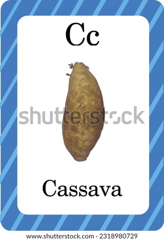 Cassava with frame for ABC Flash Cards. Letters, words and pictures. Educational alphabet cards for kids. children's alphabet page.