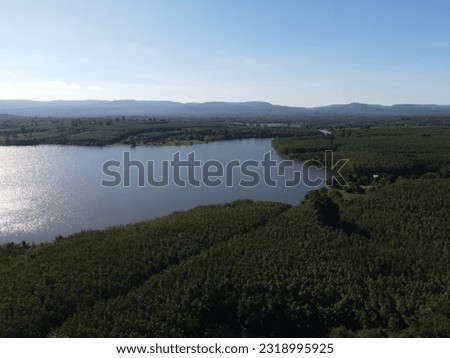 Top view on river with forest landscape.