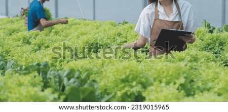 Organic farm ,Worker testing and collect environment data from bok choy organic vegetable at greenhouse farm garden. Royalty-Free Stock Photo #2319015965