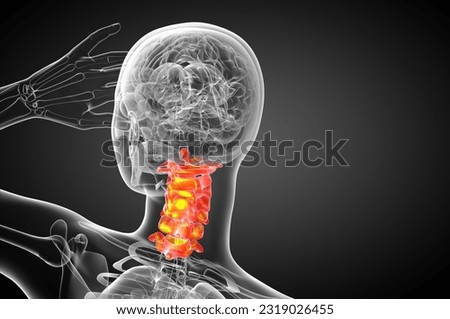 3d render medical illustration of the cervical spine - back view