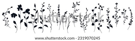 Botanical floral set in silhouette style. Hand drawn minimalistic elegant herbs, twigs, branches, flowers and leaves. Vector trendy wedding greenery Royalty-Free Stock Photo #2319070245