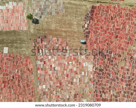 Red Carpet Fields in the Summer Season Drone Photo, Dosemealti Antalya, Turkey (Turkiye) 