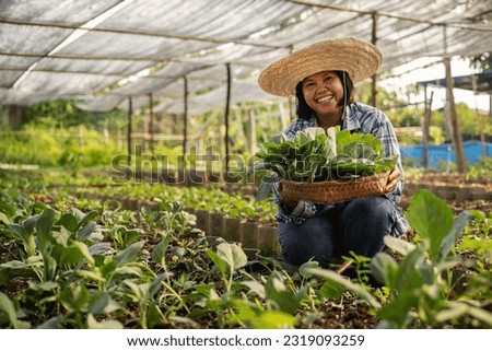 Happy Asian farmer harvesting fresh organic vegetable in local farm at countryside. Royalty-Free Stock Photo #2319093259