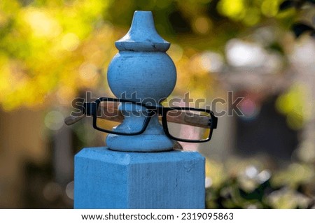 Garden vision. A pair of glasses on a post.