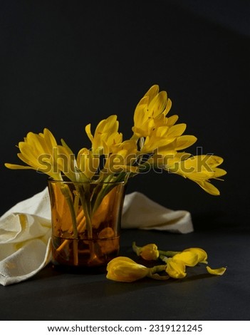 Still life Photography Yellow Lily Flowers, Yellow lily flowers in a glass on a dark background, Light and shade photography
