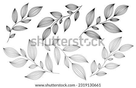 Outline branches with leaves. Contour thin leaf. Botanical set of hand drawn design elements Royalty-Free Stock Photo #2319130661