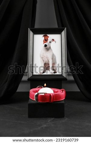 Frame with picture of dog, collar and burning candle on grey table. Pet funeral