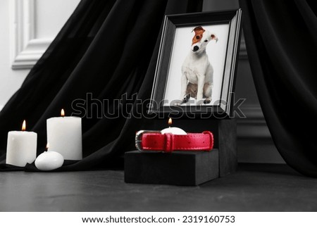 Frame with picture of dog, collar and burning candles on grey table. Pet funeral