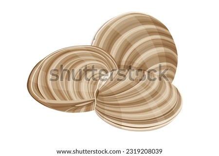 clams vector illustration isolated on white background.