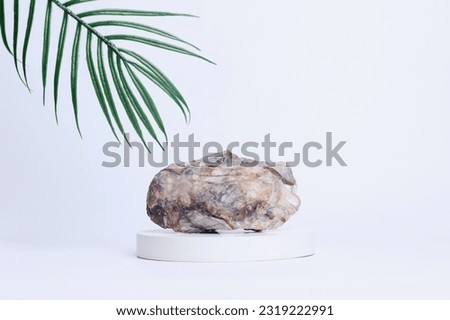 Marble stone on white cylinder pedestal podium with palm leaves over white background. Free space for your decoration, product presentation, mock up, cosmetic product display. 