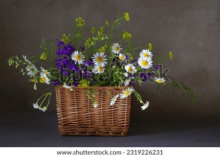 Wooden basket with blooming summer field daisies and violet wildflowers on dark background.